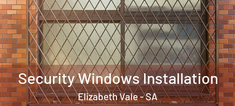 Security Windows Installation Elizabeth Vale - SA