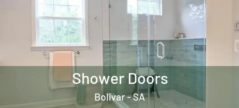 Shower Doors Bolivar - SA