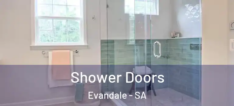Shower Doors Evandale - SA