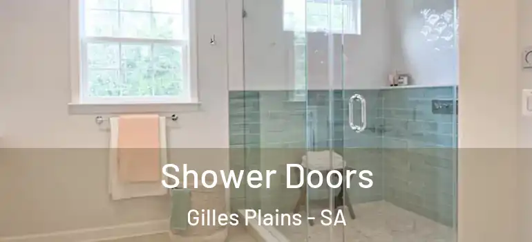 Shower Doors Gilles Plains - SA