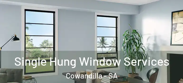  Single Hung Window Services Cowandilla - SA