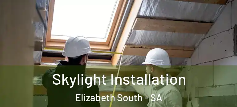  Skylight Installation Elizabeth South - SA