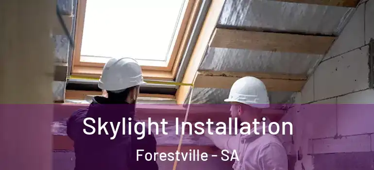 Skylight Installation Forestville - SA