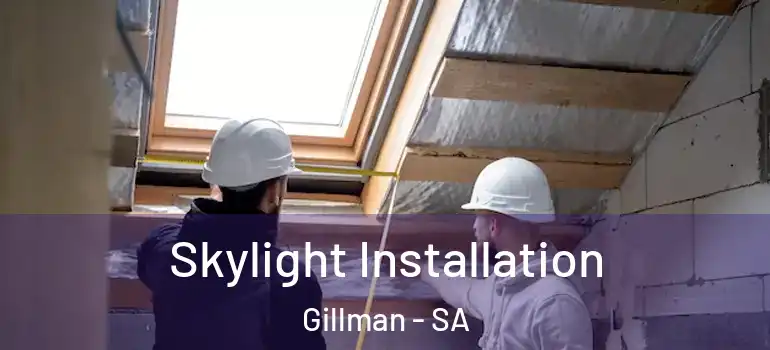  Skylight Installation Gillman - SA