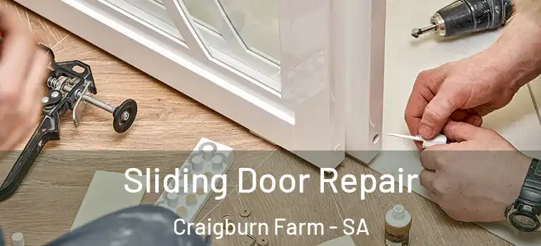 Sliding Door Repair Craigburn Farm - SA