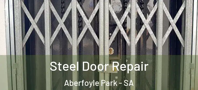 Steel Door Repair Aberfoyle Park - SA