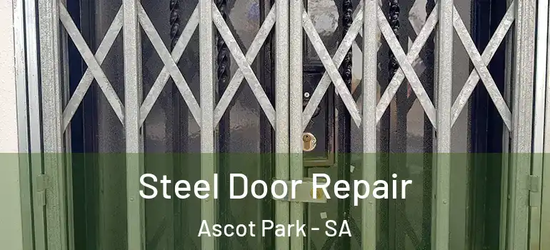 Steel Door Repair Ascot Park - SA