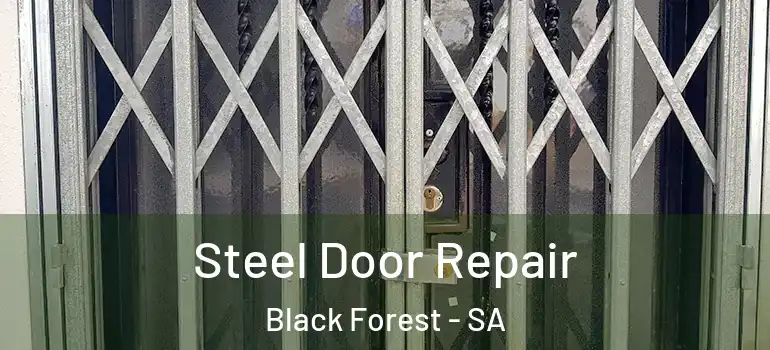 Steel Door Repair Black Forest - SA