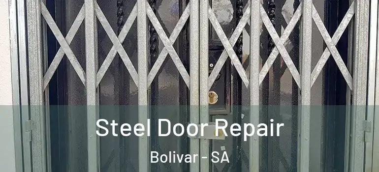 Steel Door Repair Bolivar - SA