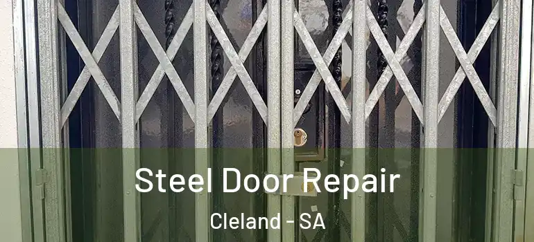 Steel Door Repair Cleland - SA