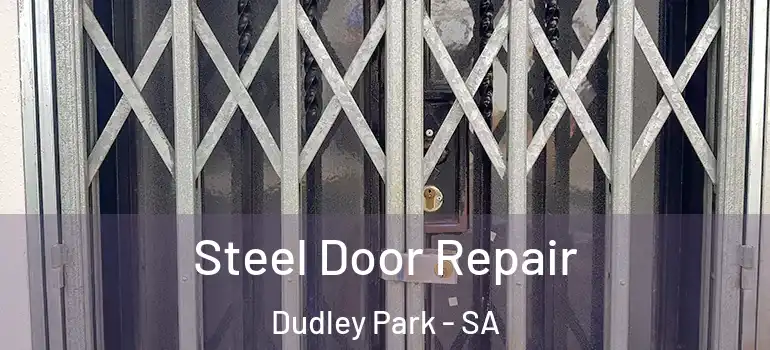 Steel Door Repair Dudley Park - SA