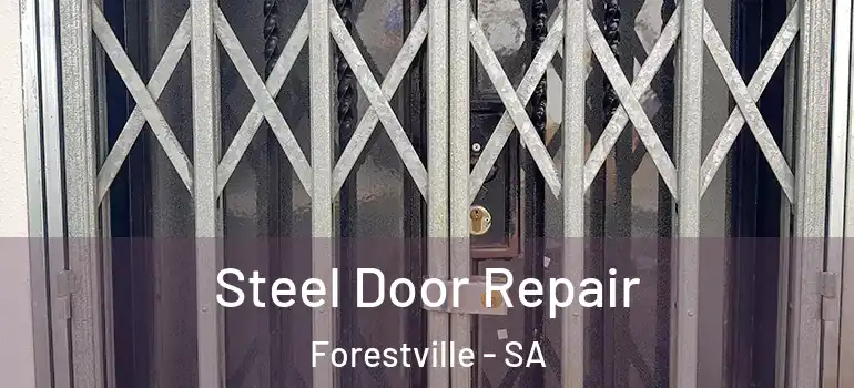 Steel Door Repair Forestville - SA