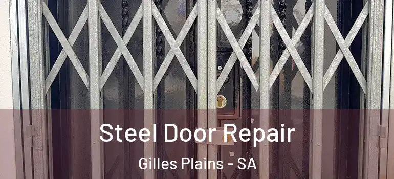 Steel Door Repair Gilles Plains - SA