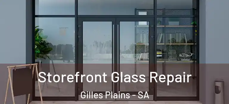 Storefront Glass Repair Gilles Plains - SA