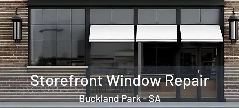 Storefront Window Repair Buckland Park - SA