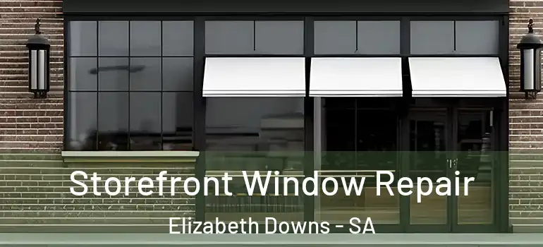Storefront Window Repair Elizabeth Downs - SA