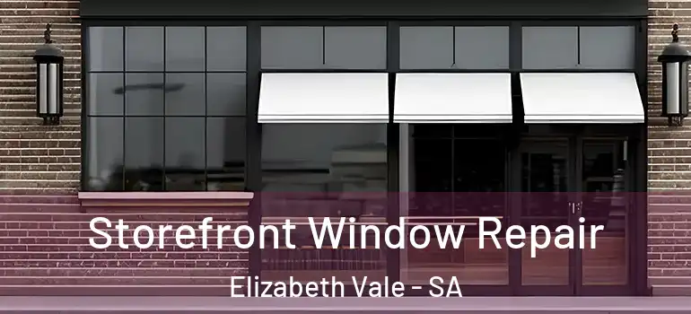 Storefront Window Repair Elizabeth Vale - SA