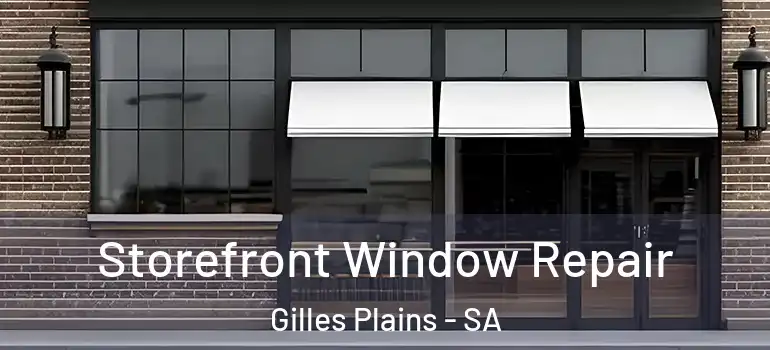 Storefront Window Repair Gilles Plains - SA