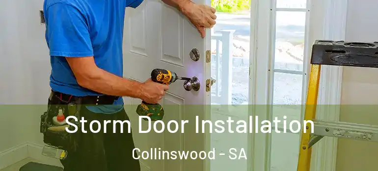  Storm Door Installation Collinswood - SA