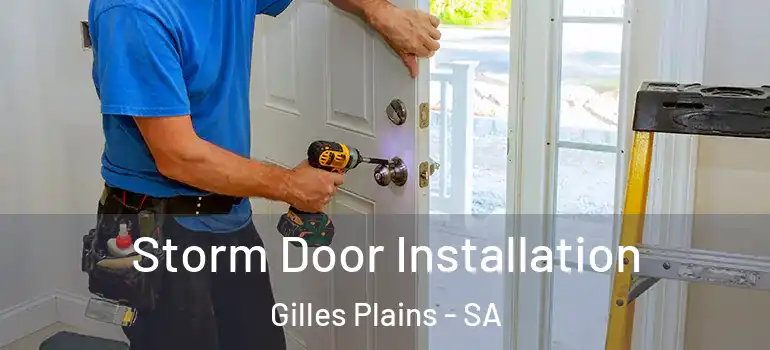 Storm Door Installation Gilles Plains - SA