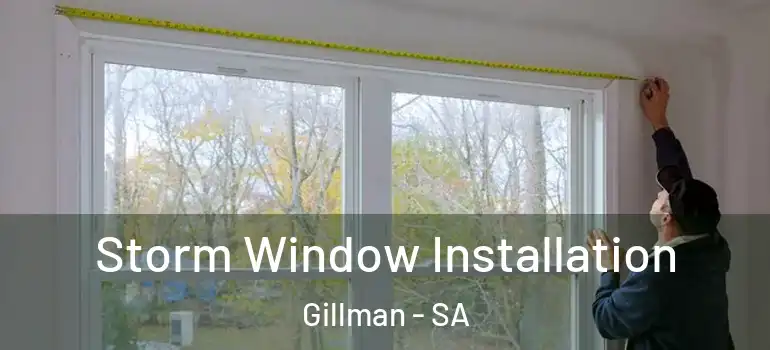 Storm Window Installation Gillman - SA