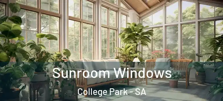  Sunroom Windows College Park - SA