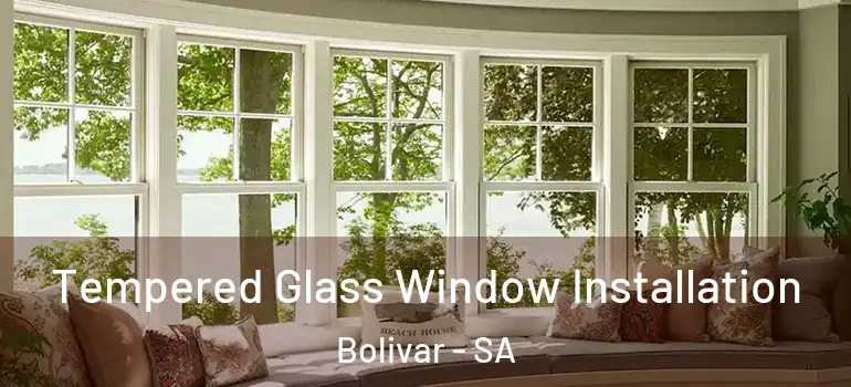 Tempered Glass Window Installation Bolivar - SA