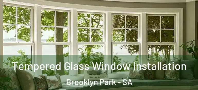 Tempered Glass Window Installation Brooklyn Park - SA