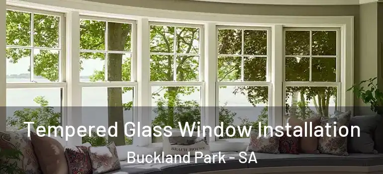 Tempered Glass Window Installation Buckland Park - SA