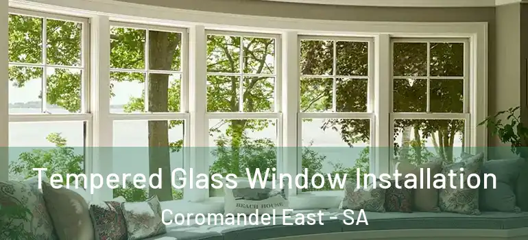 Tempered Glass Window Installation Coromandel East - SA
