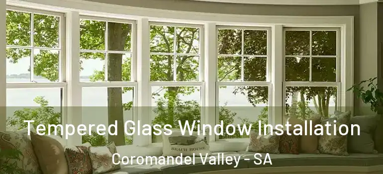 Tempered Glass Window Installation Coromandel Valley - SA