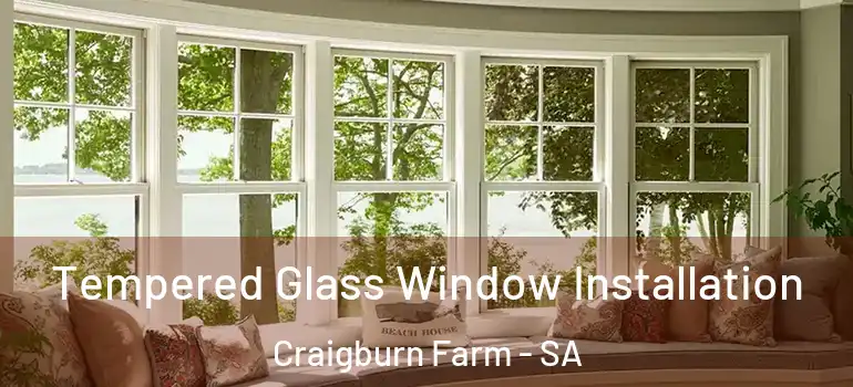 Tempered Glass Window Installation Craigburn Farm - SA