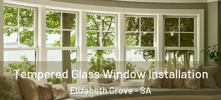 Tempered Glass Window Installation Elizabeth Grove - SA