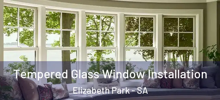 Tempered Glass Window Installation Elizabeth Park - SA