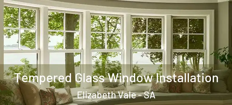 Tempered Glass Window Installation Elizabeth Vale - SA