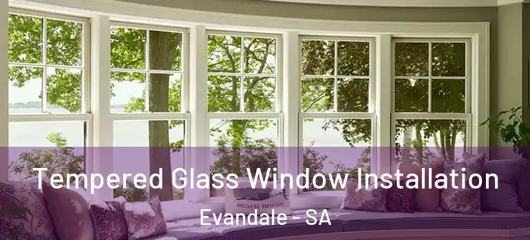 Tempered Glass Window Installation Evandale - SA