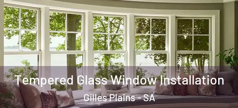  Tempered Glass Window Installation Gilles Plains - SA