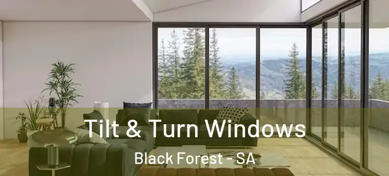 Tilt & Turn Windows Black Forest - SA