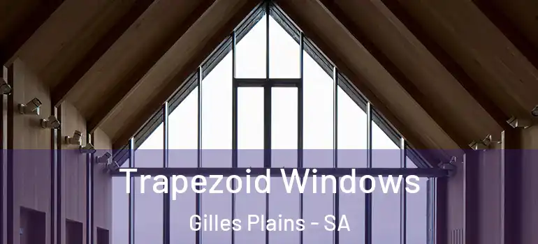  Trapezoid Windows Gilles Plains - SA