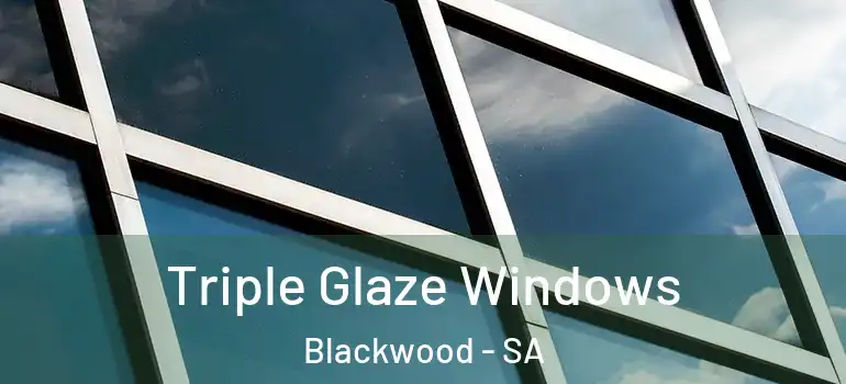 Triple Glaze Windows Blackwood - SA