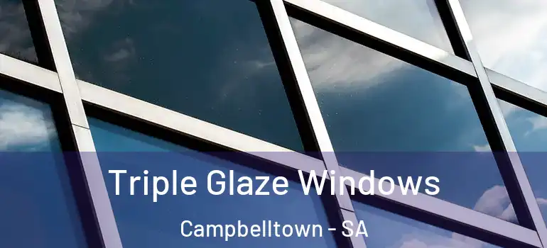 Triple Glaze Windows Campbelltown - SA