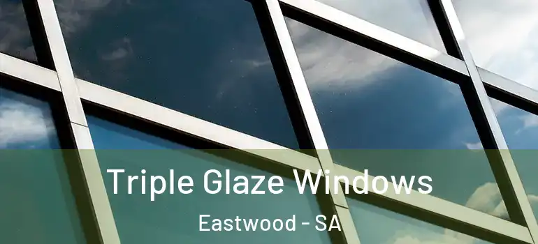 Triple Glaze Windows Eastwood - SA