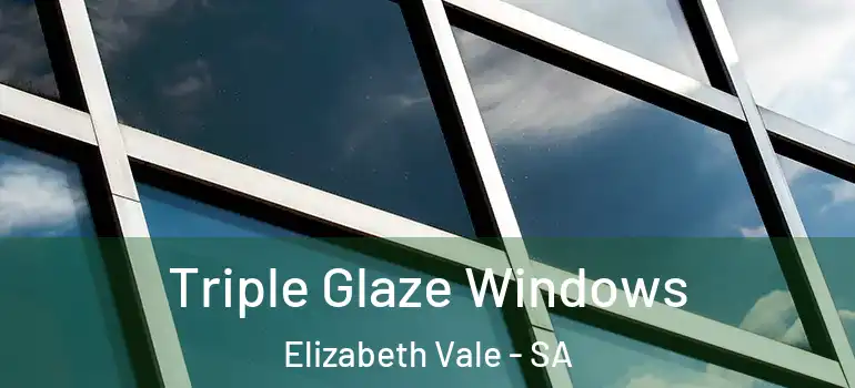 Triple Glaze Windows Elizabeth Vale - SA