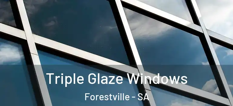  Triple Glaze Windows Forestville - SA