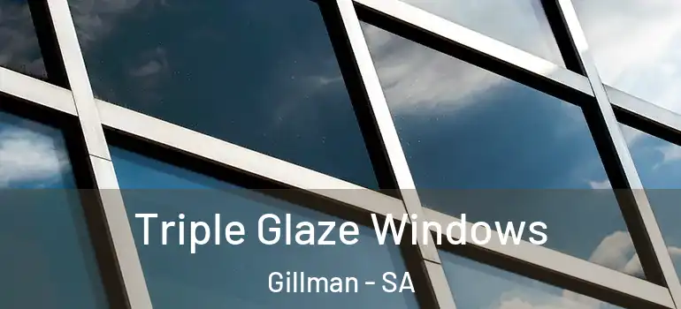 Triple Glaze Windows Gillman - SA