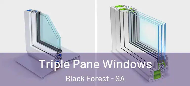 Triple Pane Windows Black Forest - SA