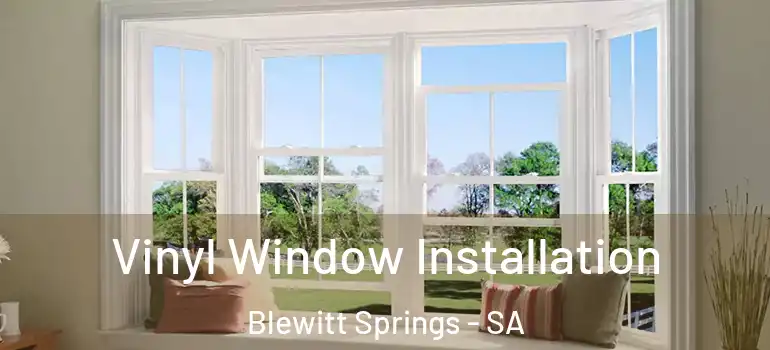 Vinyl Window Installation Blewitt Springs - SA