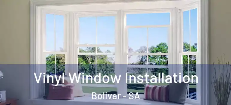 Vinyl Window Installation Bolivar - SA