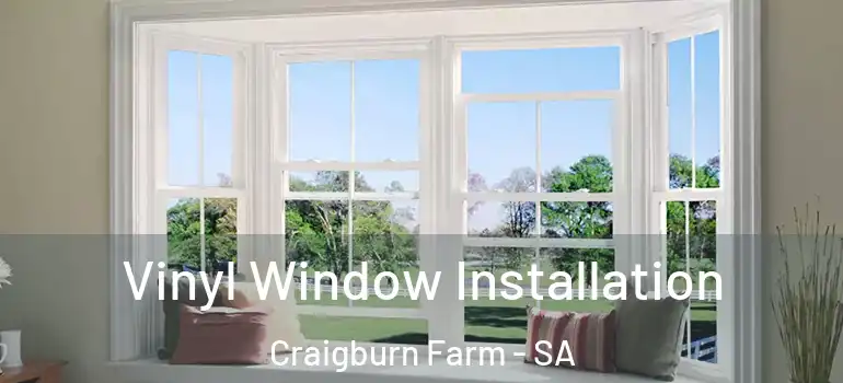 Vinyl Window Installation Craigburn Farm - SA