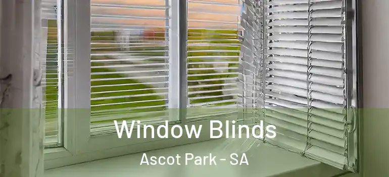 Window Blinds Ascot Park - SA